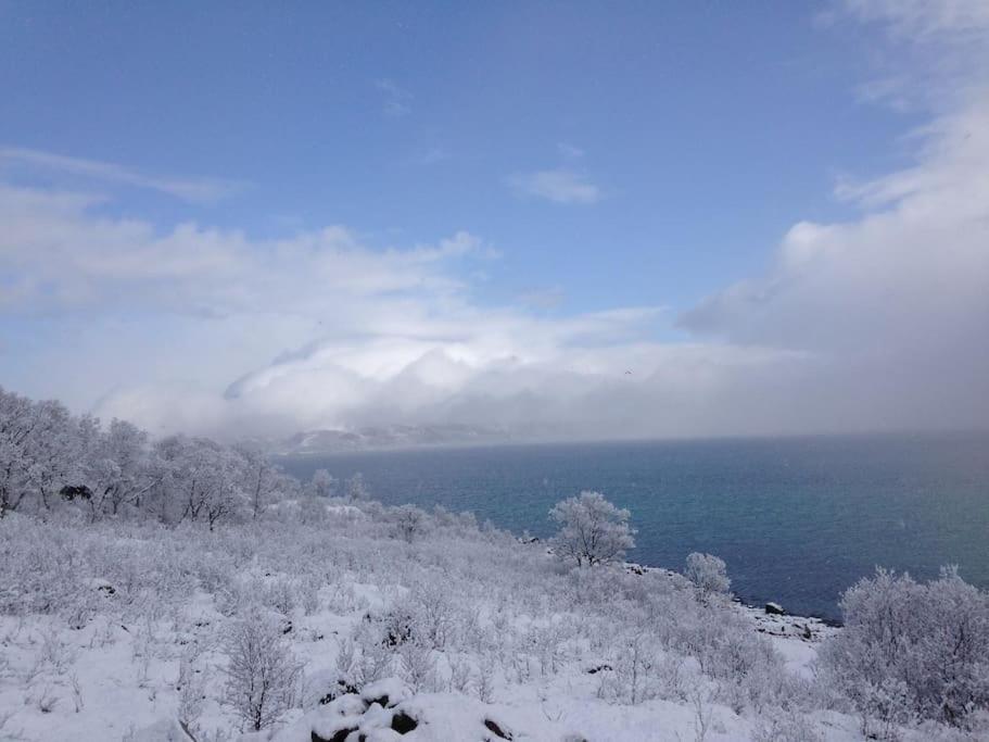Fantastic View, Quiet And Relaxing By The Sea Villa Kvaloya Eksteriør billede