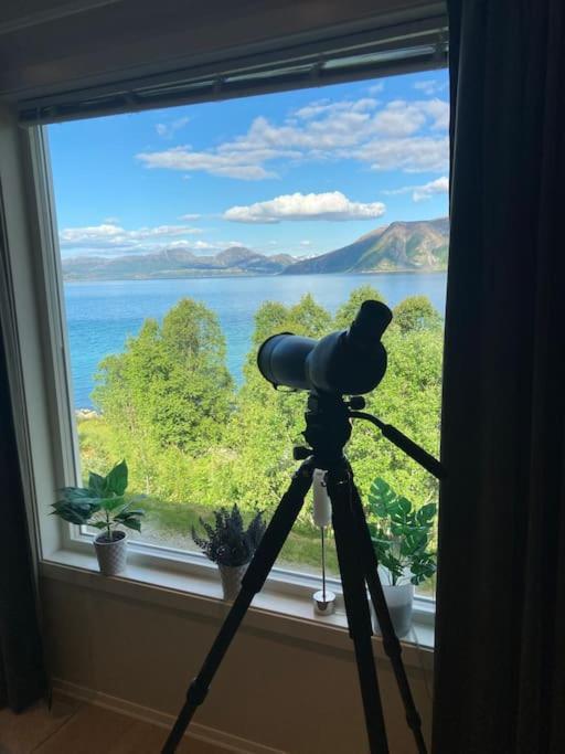 Fantastic View, Quiet And Relaxing By The Sea Villa Kvaloya Eksteriør billede