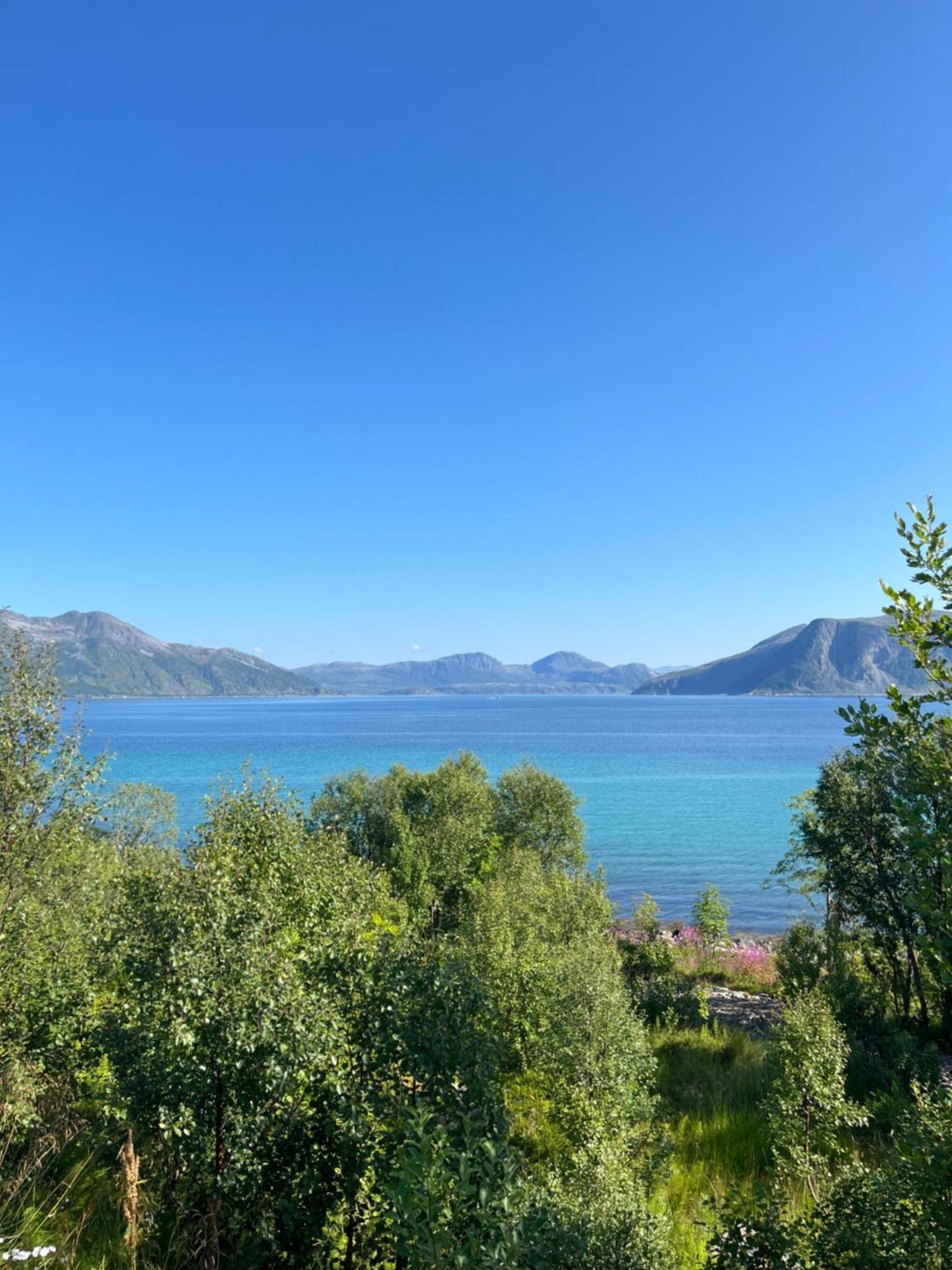 Fantastic View, Quiet And Relaxing By The Sea Villa Kvaloya Eksteriør billede